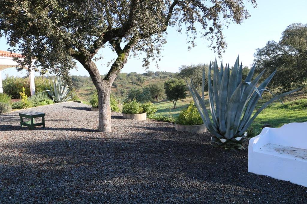 Monte Novo da Sobreira, rust en ruimte in zuid Alentejo Appartement Ourique Buitenkant foto