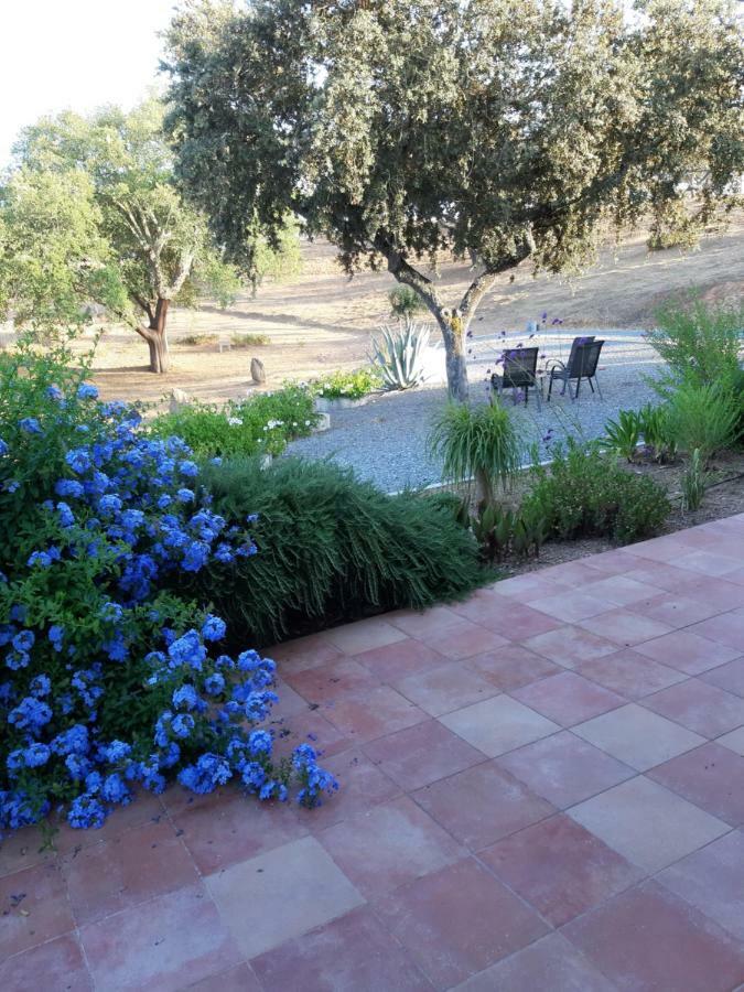 Monte Novo da Sobreira, rust en ruimte in zuid Alentejo Appartement Ourique Buitenkant foto